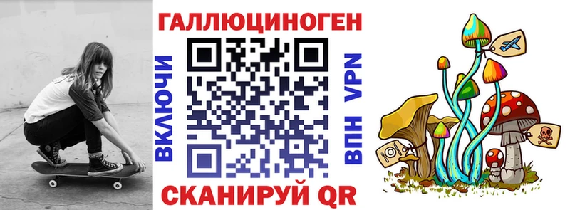 Купить  Байкальск  Псилоцибиновые грибы Cubensis 